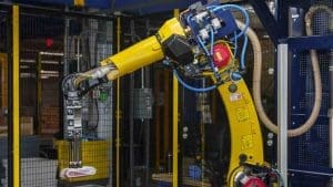 Amazon, i dipendenti del colosso americano adesso tremano: arrivano i robot che li sostituiranno